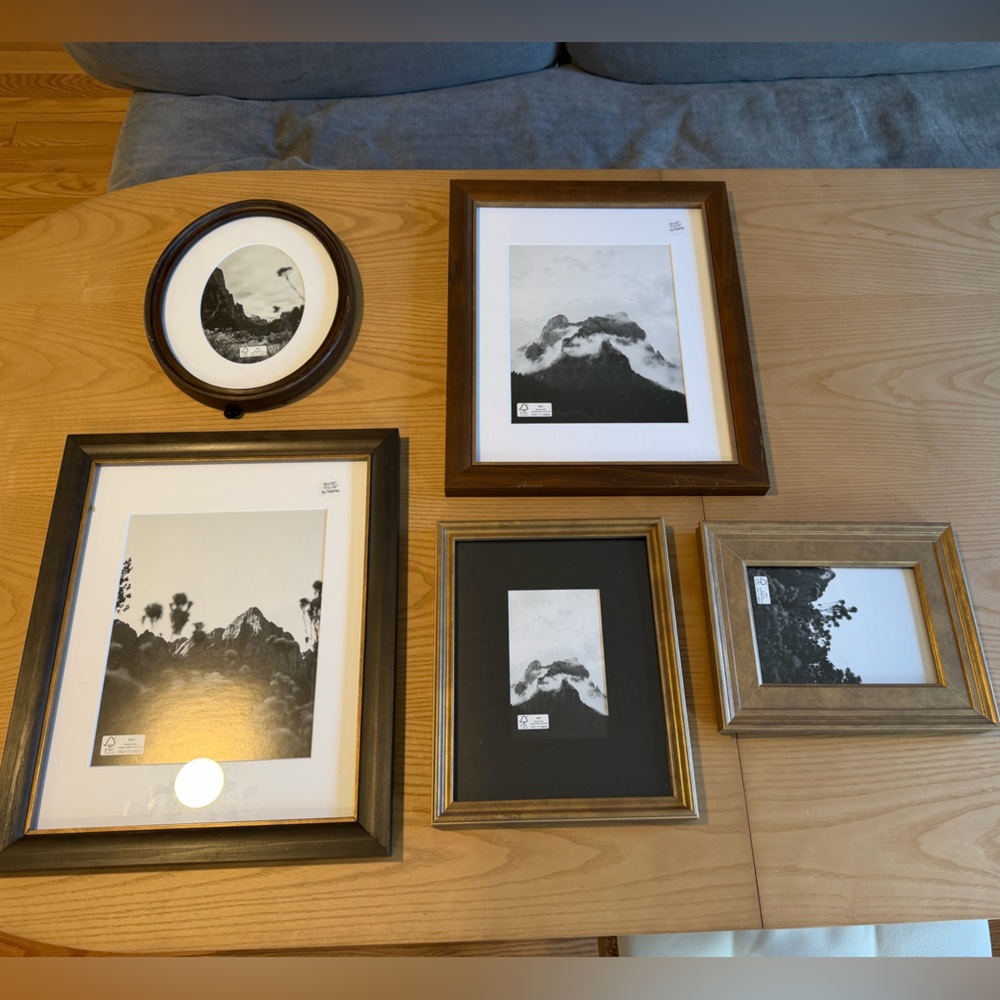 Studio McGee - set of 5 real wood gallery frames